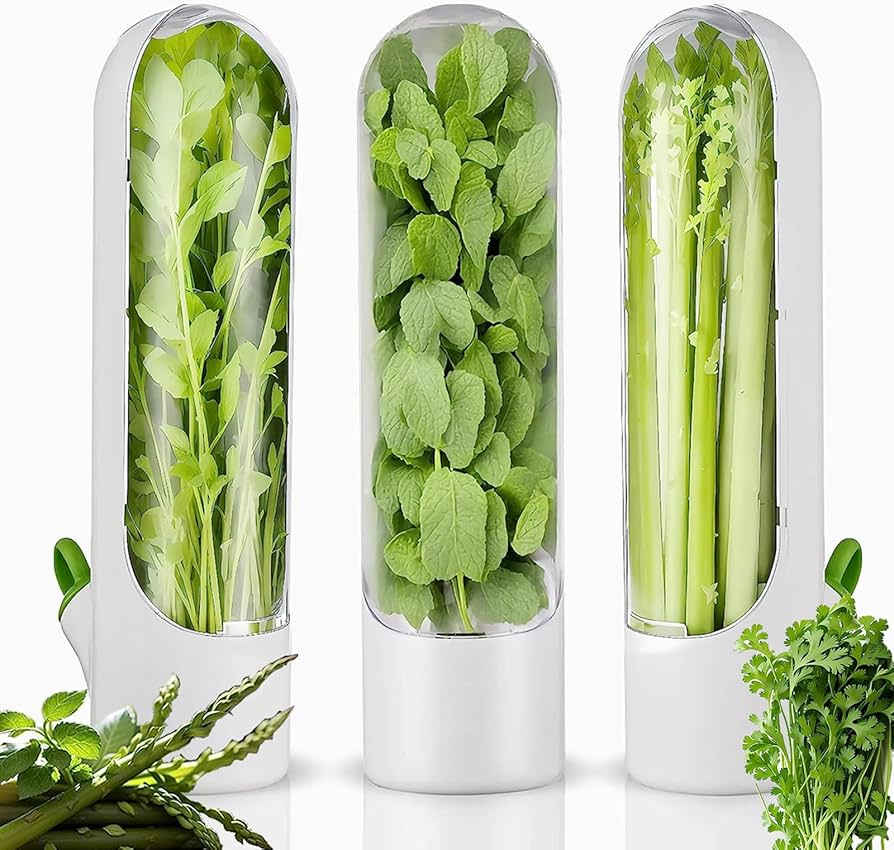 herb saver capsule case fridge container herb saver